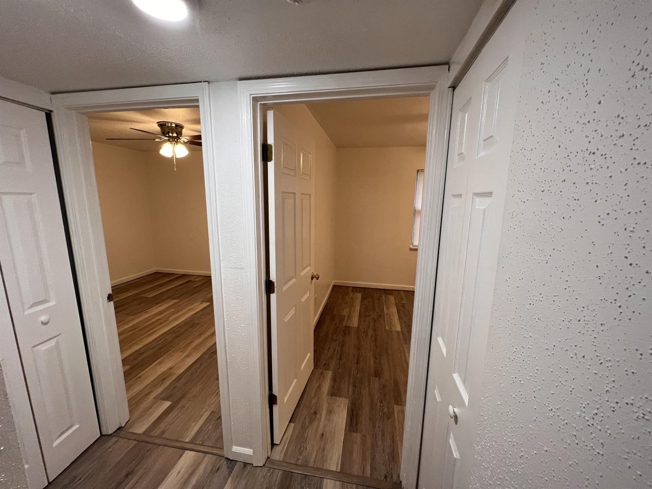 411 East Osborn Sparta IL 62286 - Photo 5 of 8