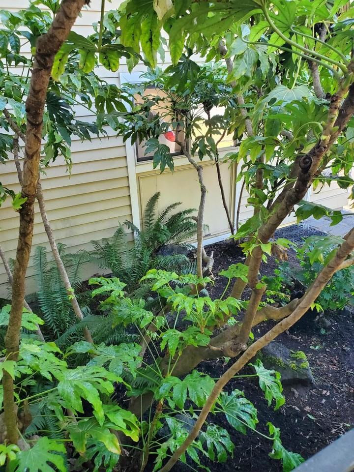 15739 Se 175th Pl - Photo 4 of 10