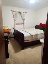 Stone Trace - Photo 1 of 1