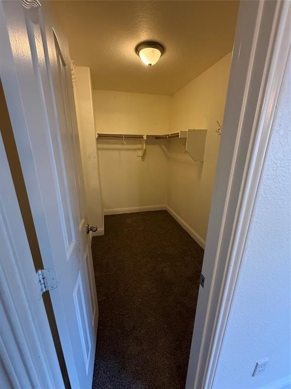 3101 Spanish Oak Trl - Photo 7 of 23