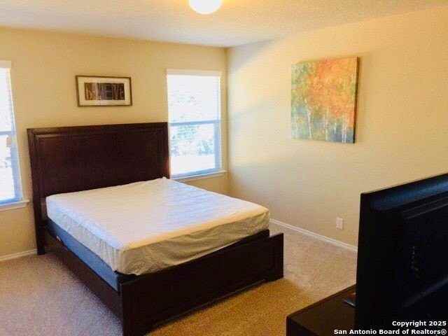 15331 Night Heron - Photo 5 of 19