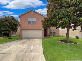 featured image of 12626 Sunny Wonder