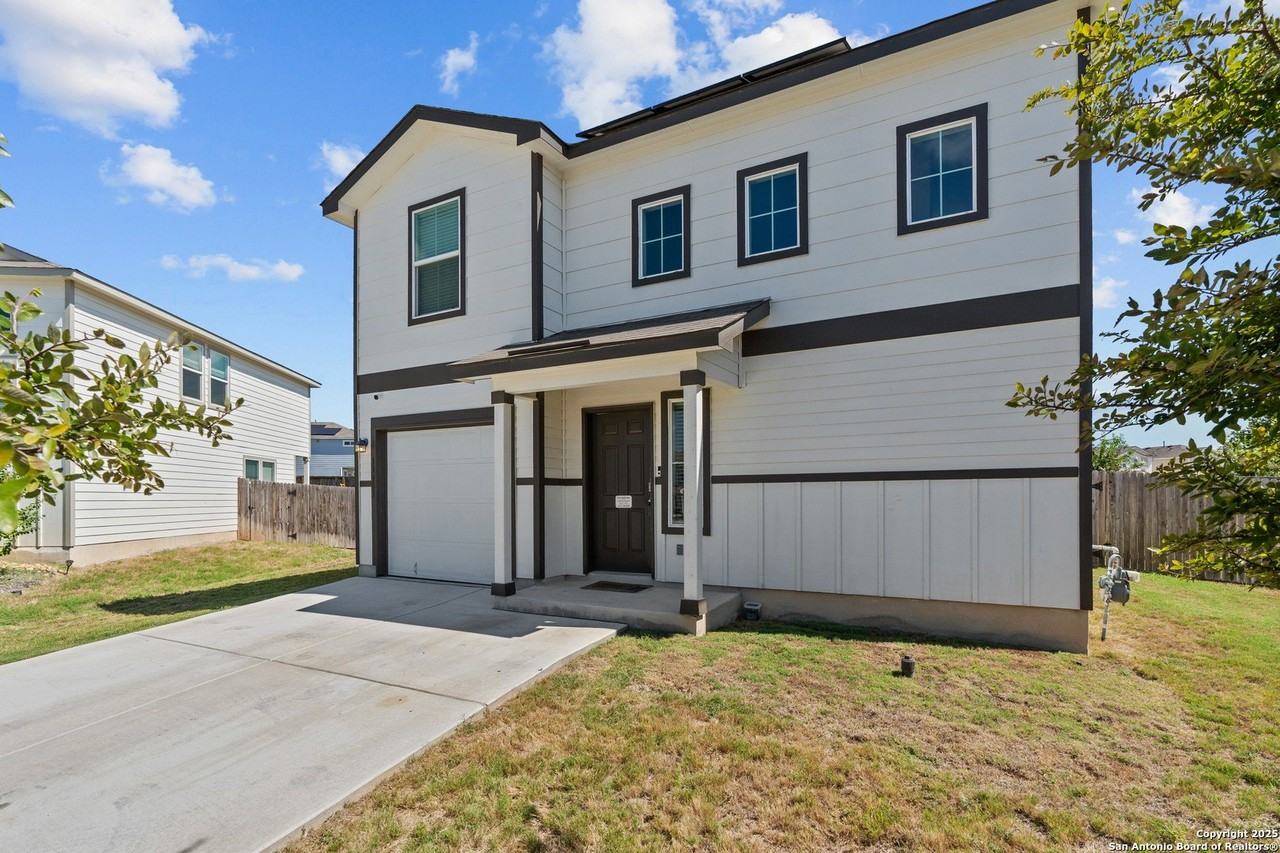 13903 Cyprus Sedge - Photo 2 of 34