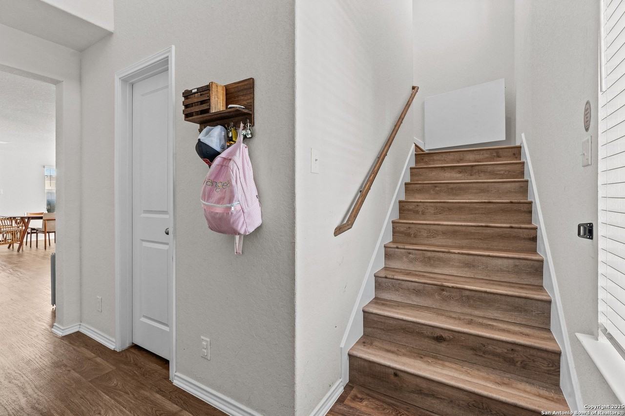 13903 Cyprus Sedge - Photo 4 of 34