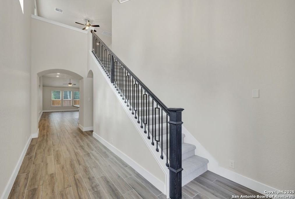 1652 Gruene Pass - Photo 3 of 39