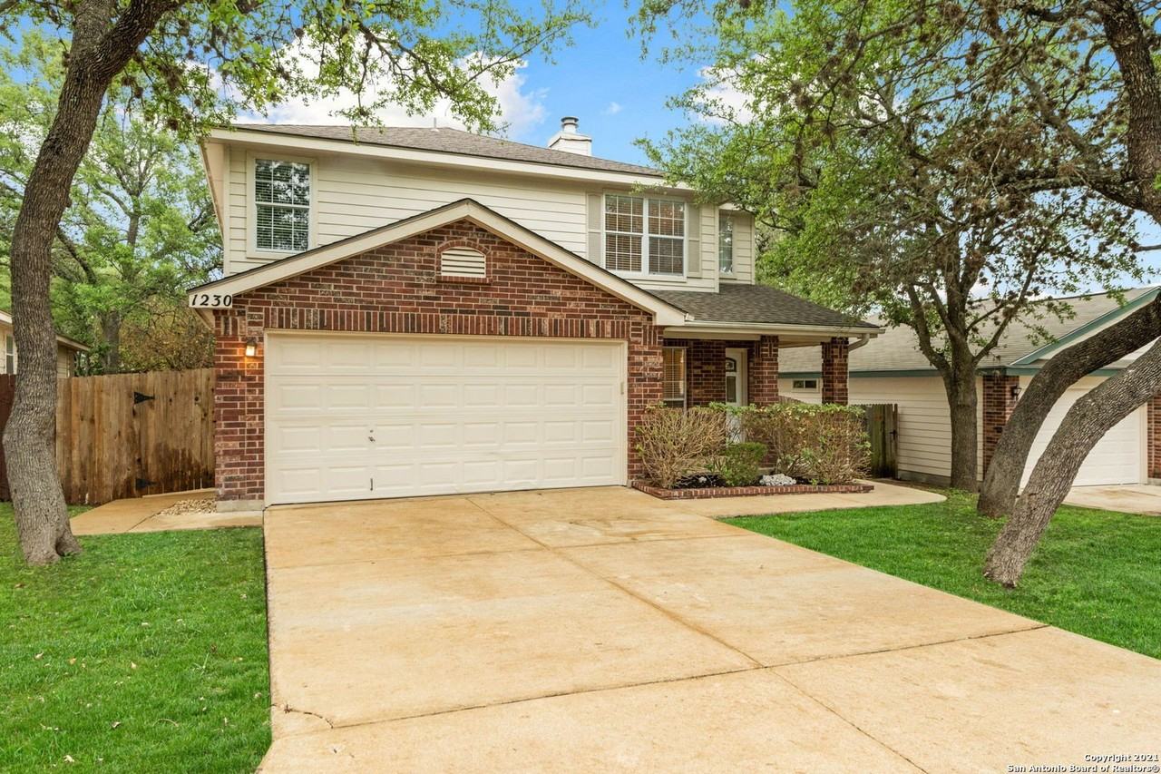 1230 Lion King - Photo 2 of 25