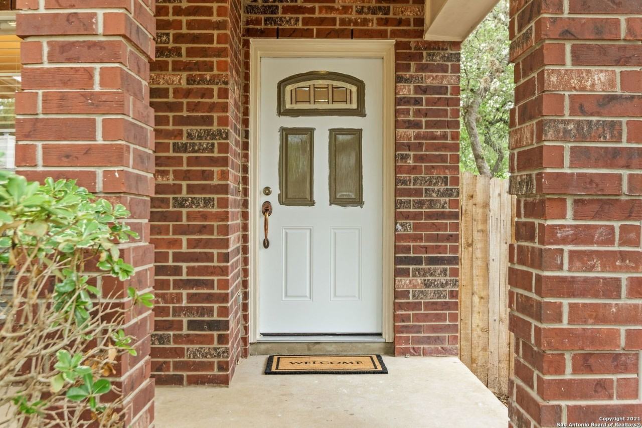 1230 Lion King - Photo 3 of 25