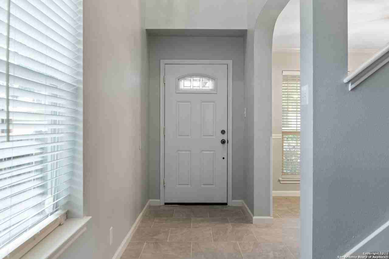 1230 Lion King - Photo 4 of 25