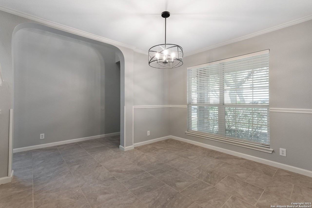 1230 Lion King - Photo 5 of 25