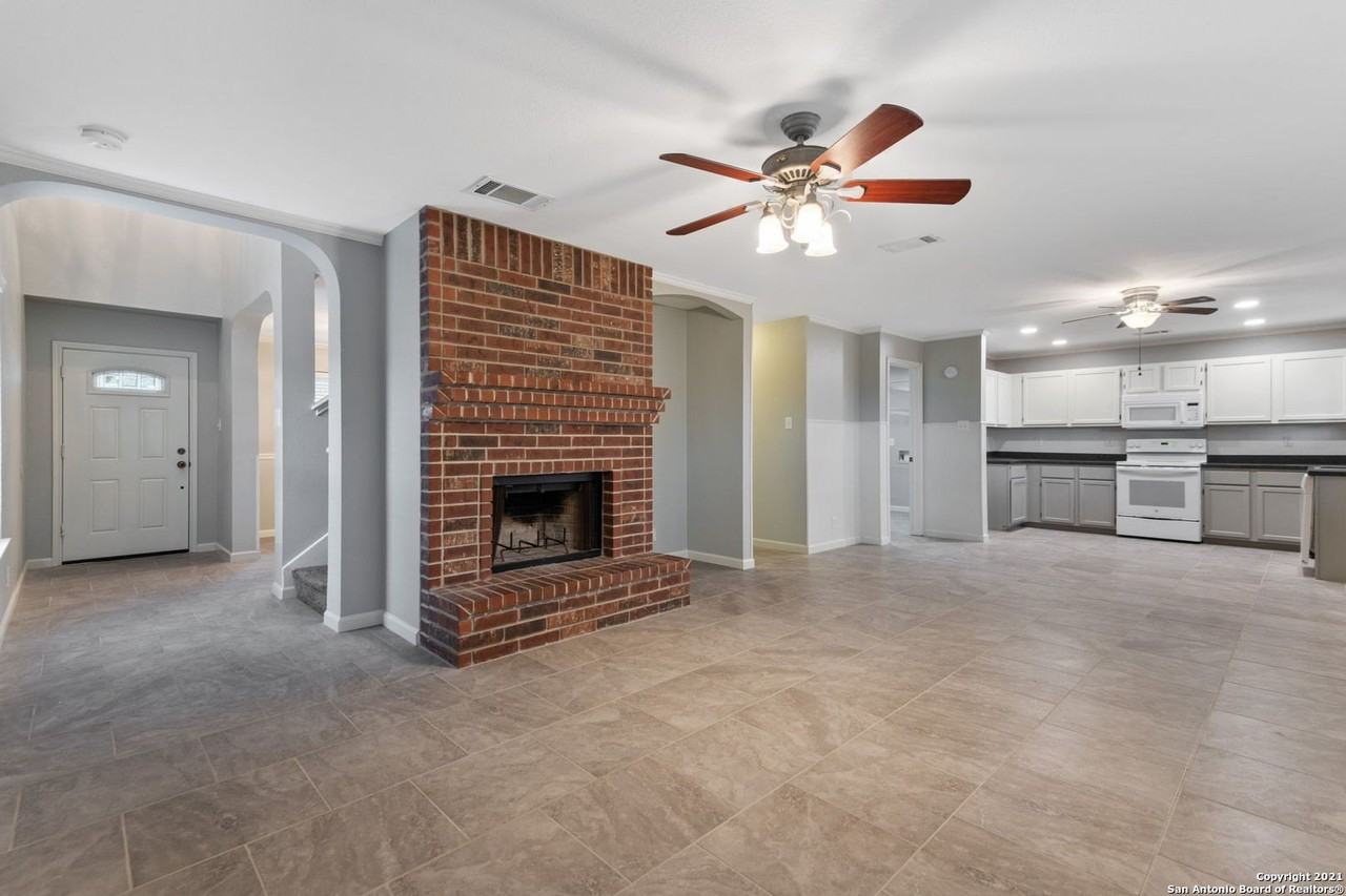 1230 Lion King - Photo 6 of 25