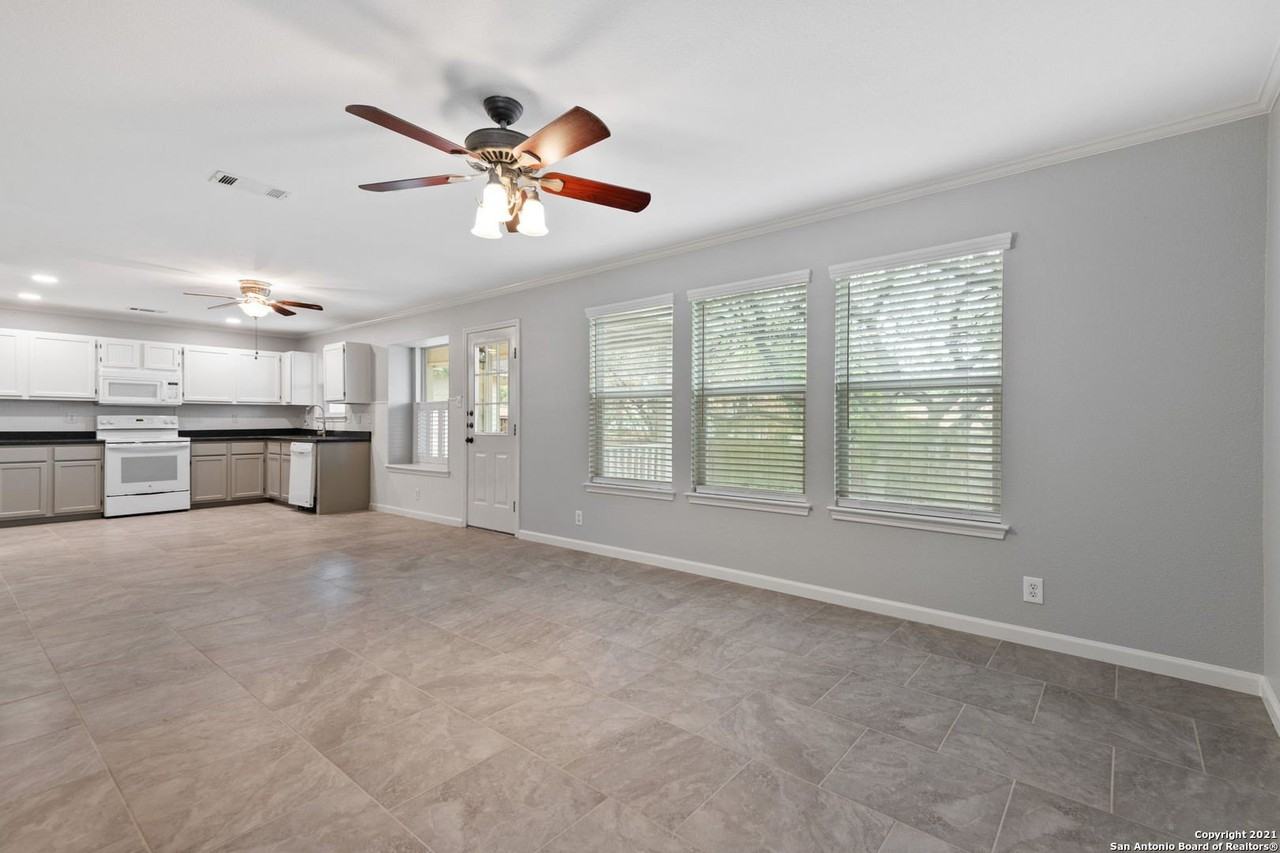 1230 Lion King - Photo 7 of 25