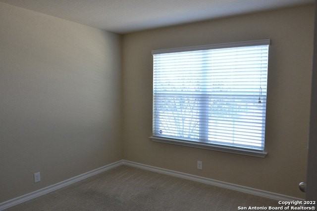 15525 Gray Catbird - Photo 4 of 16