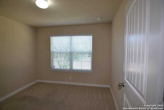 15525 Gray Catbird - Photo 5 of 16