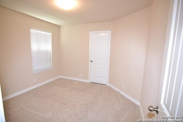 15525 Gray Catbird - Photo 6 of 16