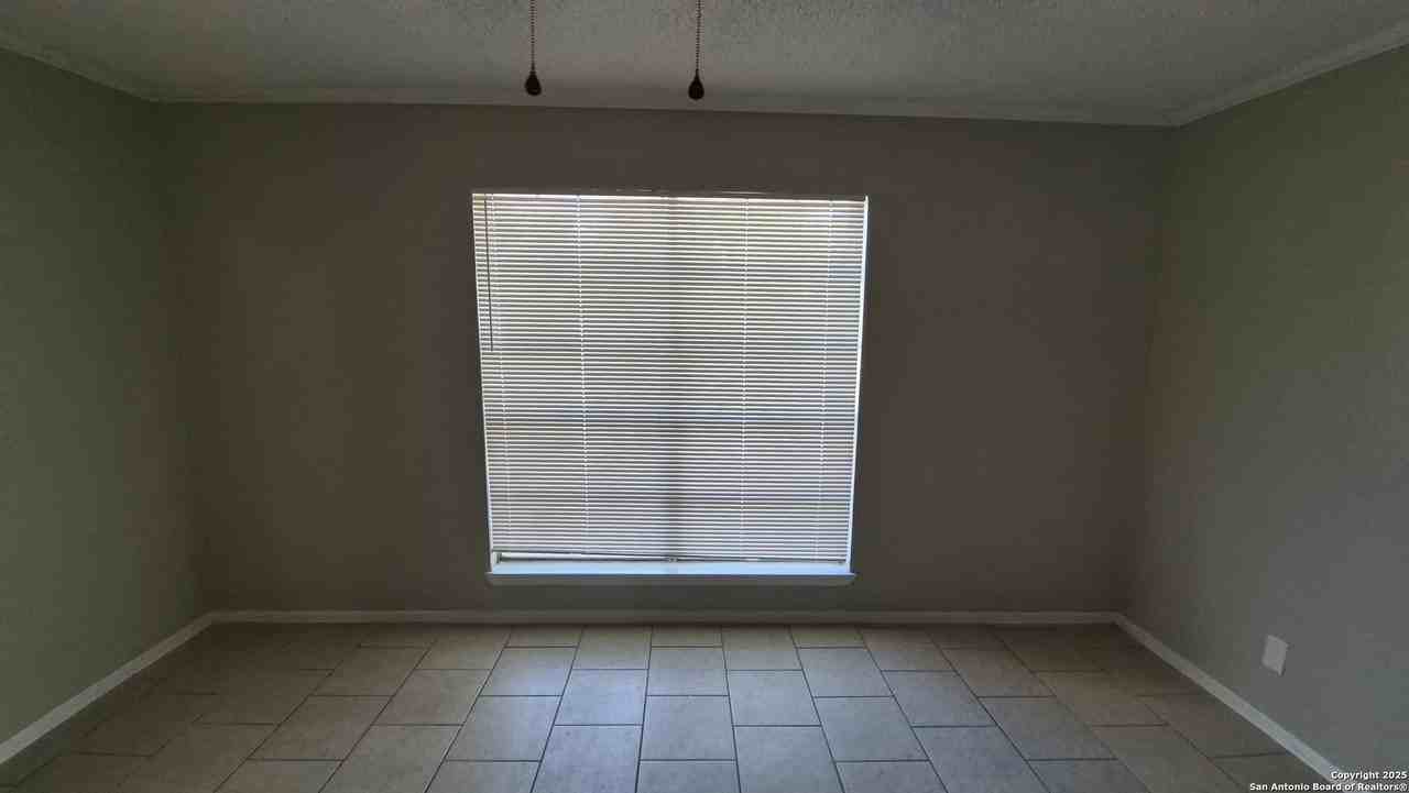 11914 Alamo Blanco - Photo 6 of 39