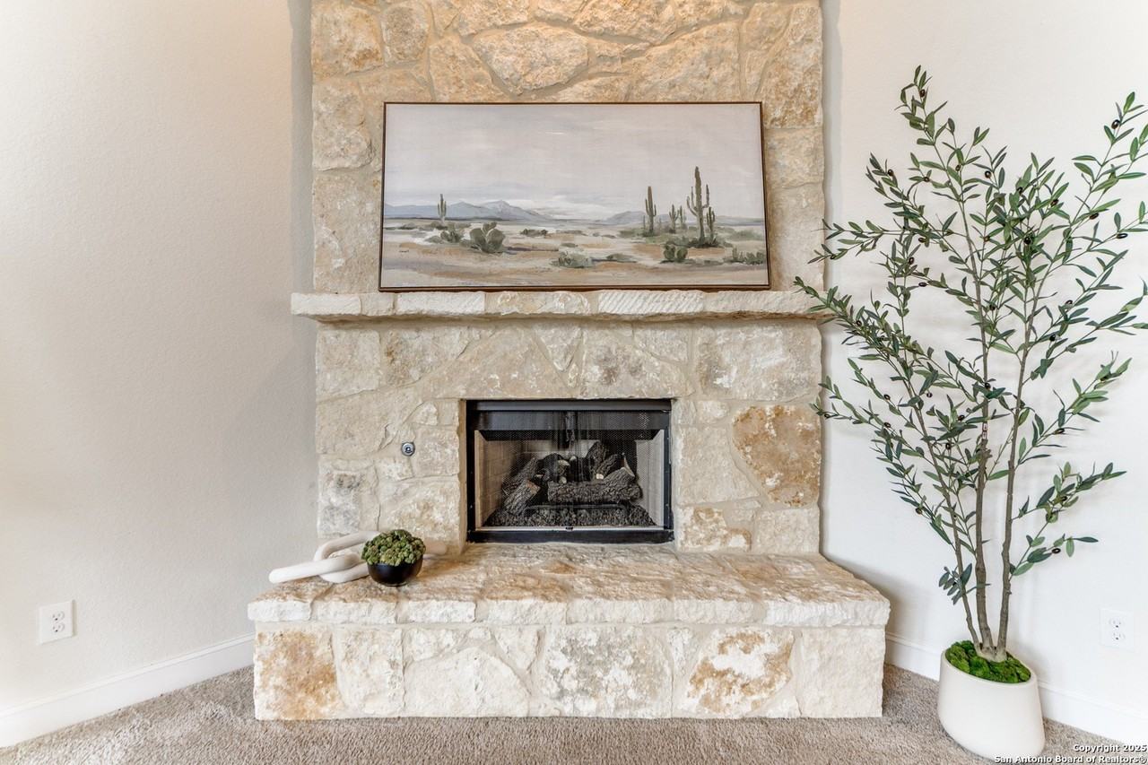 233 Branson Fls - Photo 4 of 30