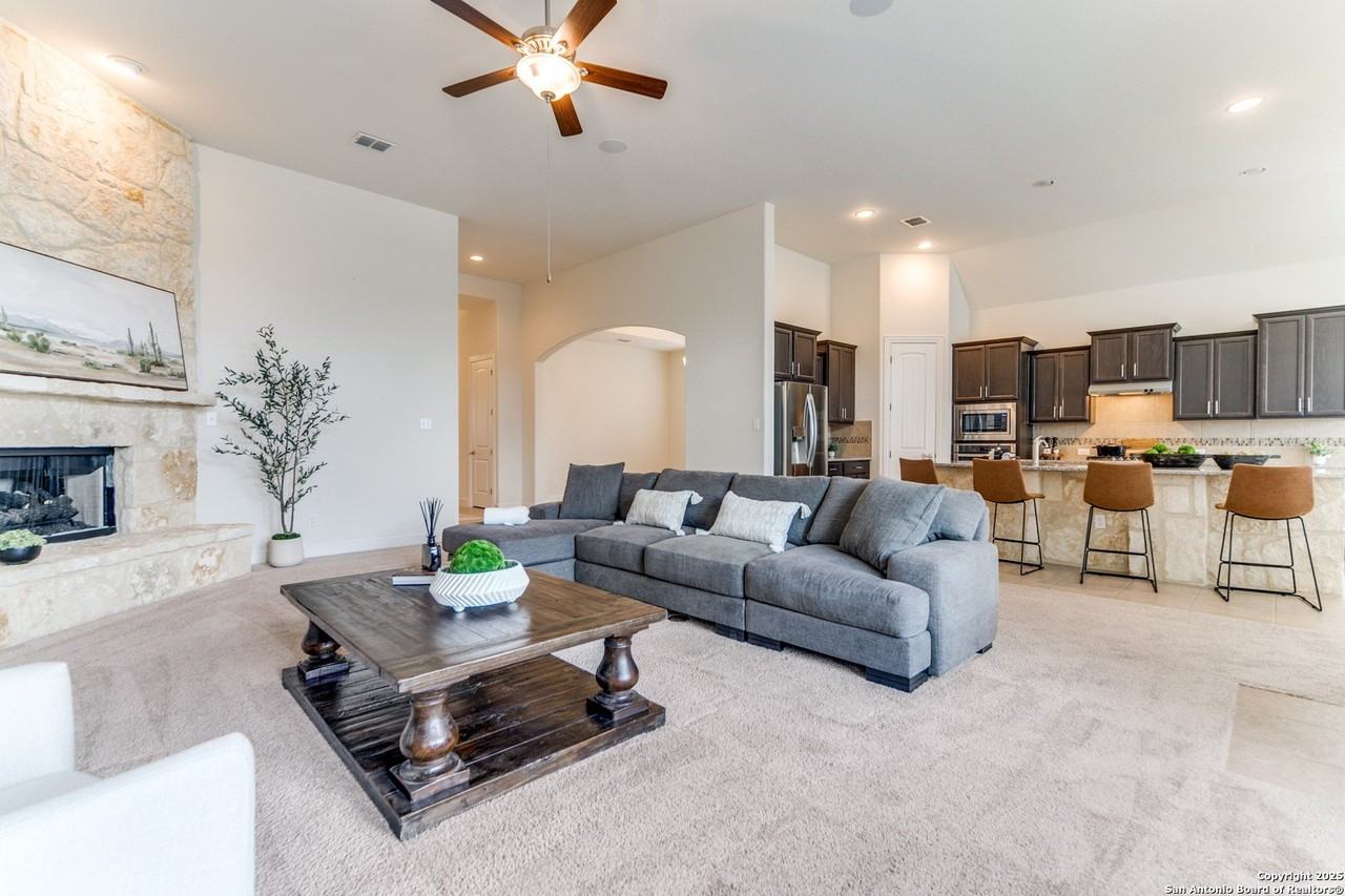 233 Branson Fls - Photo 7 of 30