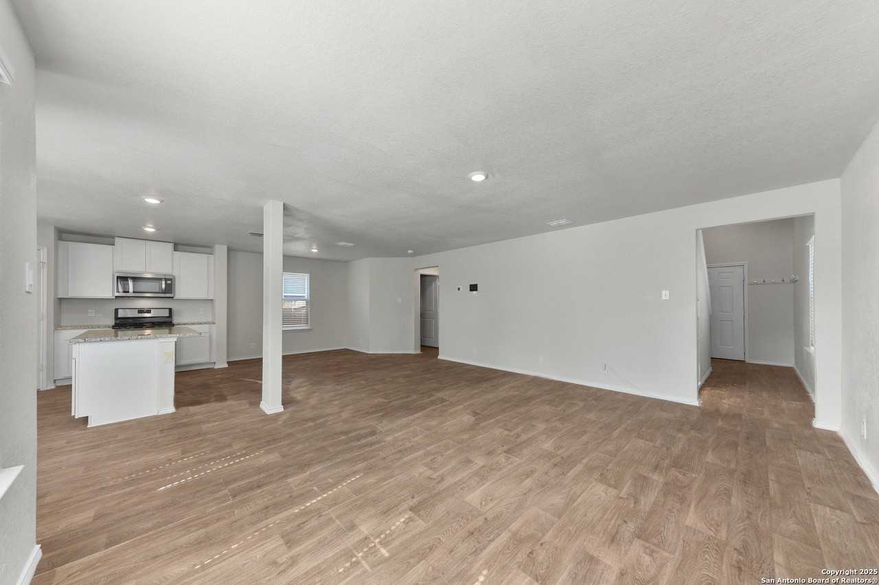 15326 Brown Violetear - Photo 6 of 28