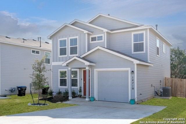 14710 Fronted Goose - Photo 2 of 26