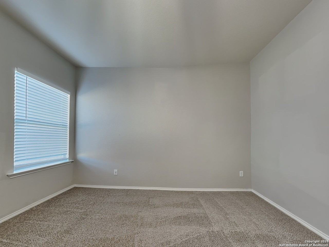 125 Buttercup Bnd - Photo 7 of 16