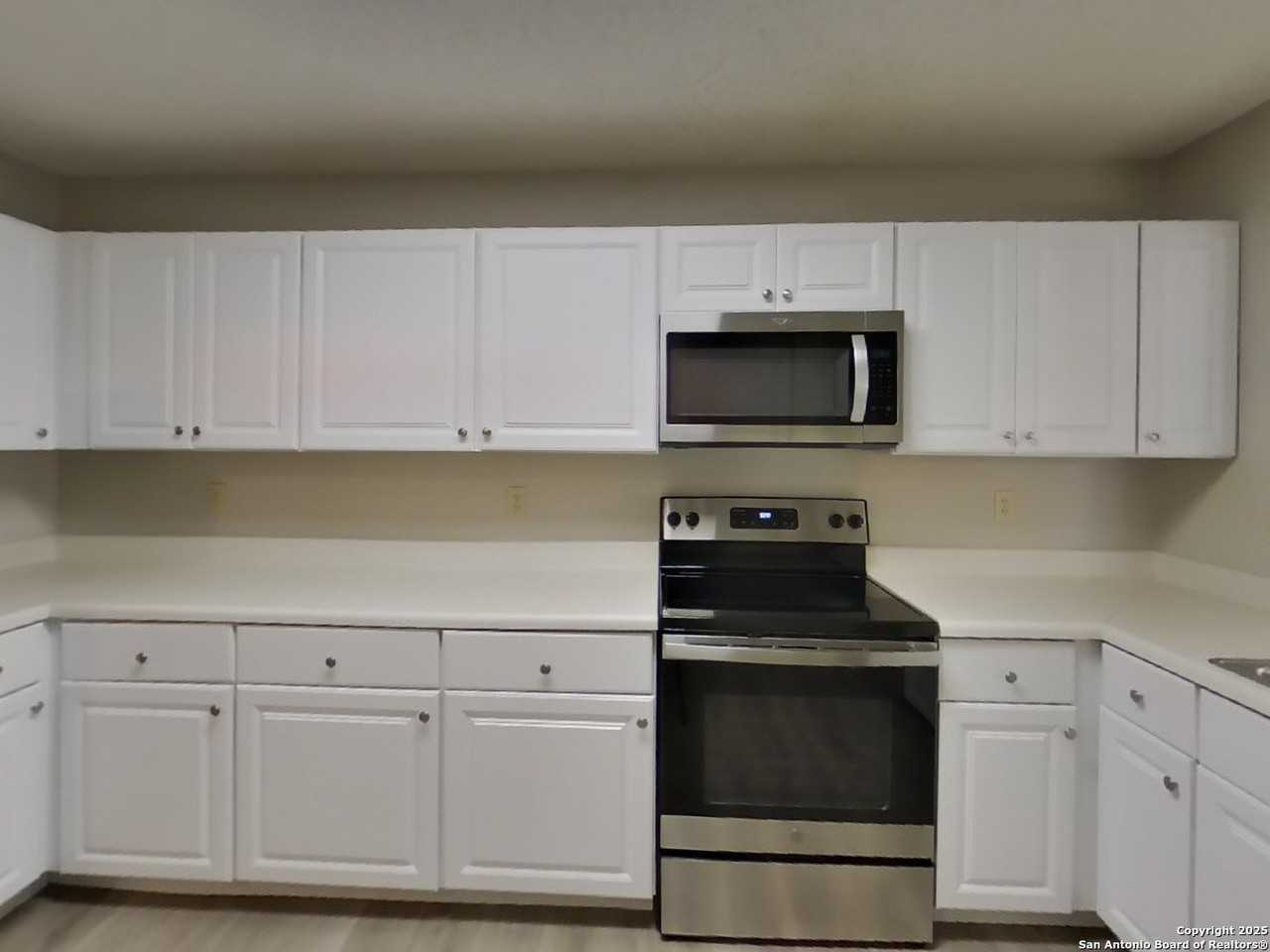 8230 Longhorn Ridge Dr - Photo 5 of 18