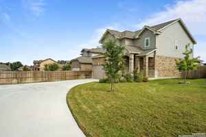 featured image of 11307 White Tip