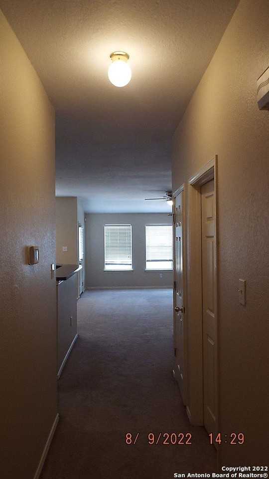 7006 Hallie Spirit - Photo 3 of 23