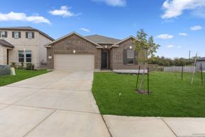 featured image of 5714 Agave Spine