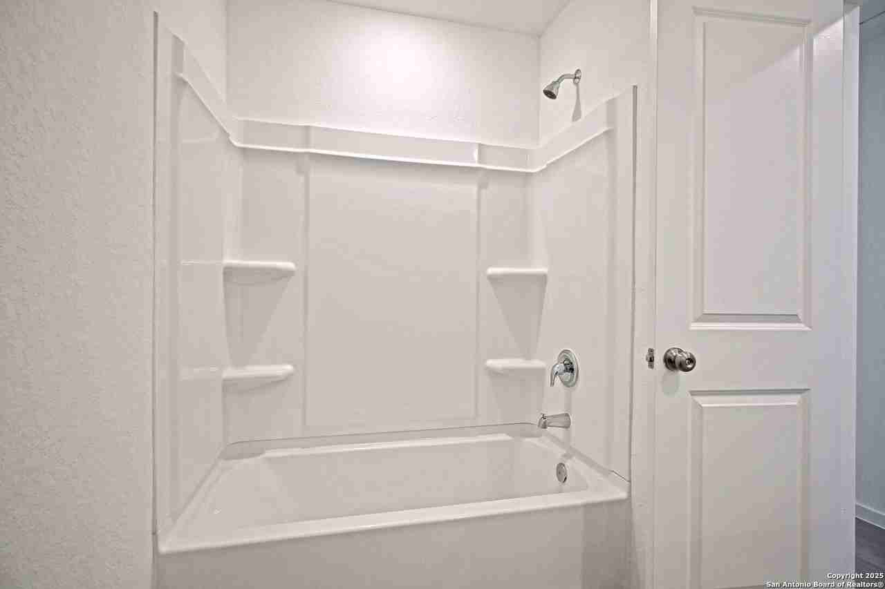 1855 Wood Warbler - Photo 4 of 20