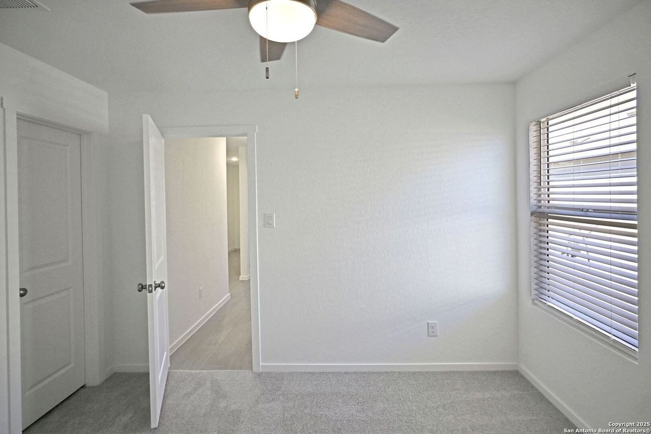 1855 Wood Warbler - Photo 6 of 20