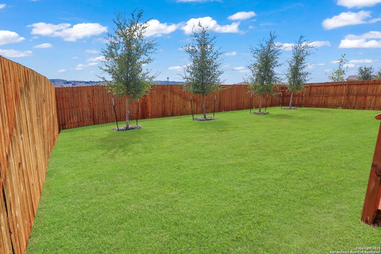 183 Ringed Plover - Photo 4 of 20