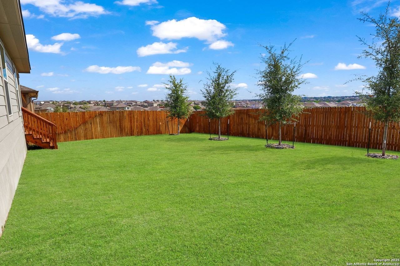 183 Ringed Plover - Photo 5 of 20