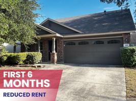 featured image of 141 Golden Wren