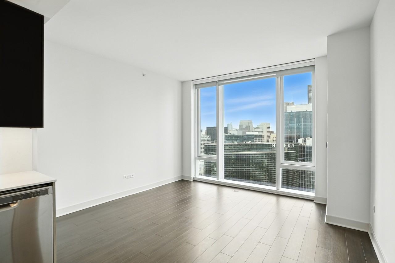 313 W Wolf Point Plz #1-1 - Photo 4 of 38