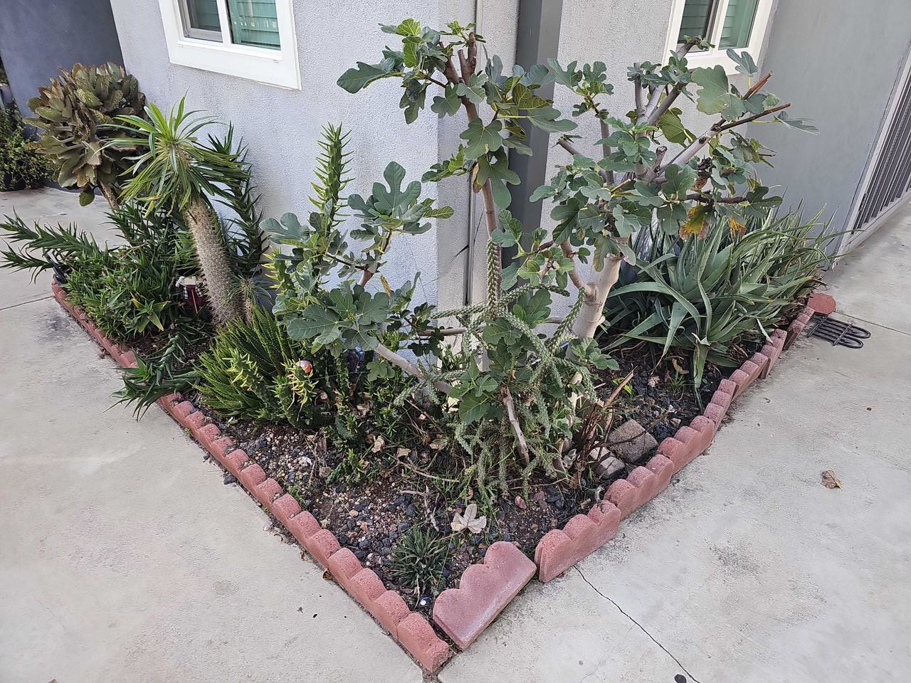 Friar St - Photo 5 of 43