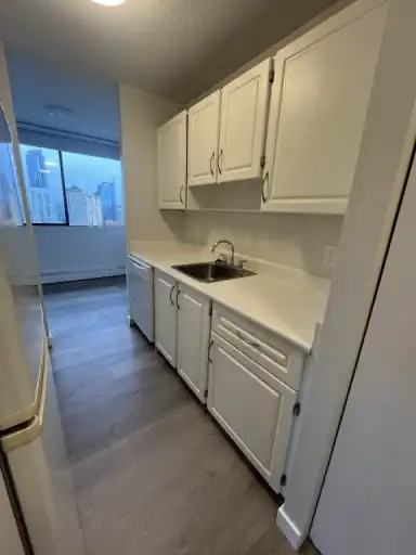 1230 Nelson Street #1803 - Photo 5 of 12