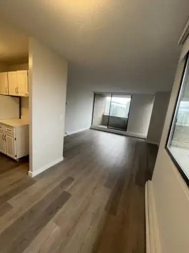 1230 Nelson Street #1803 - Photo 7 of 12