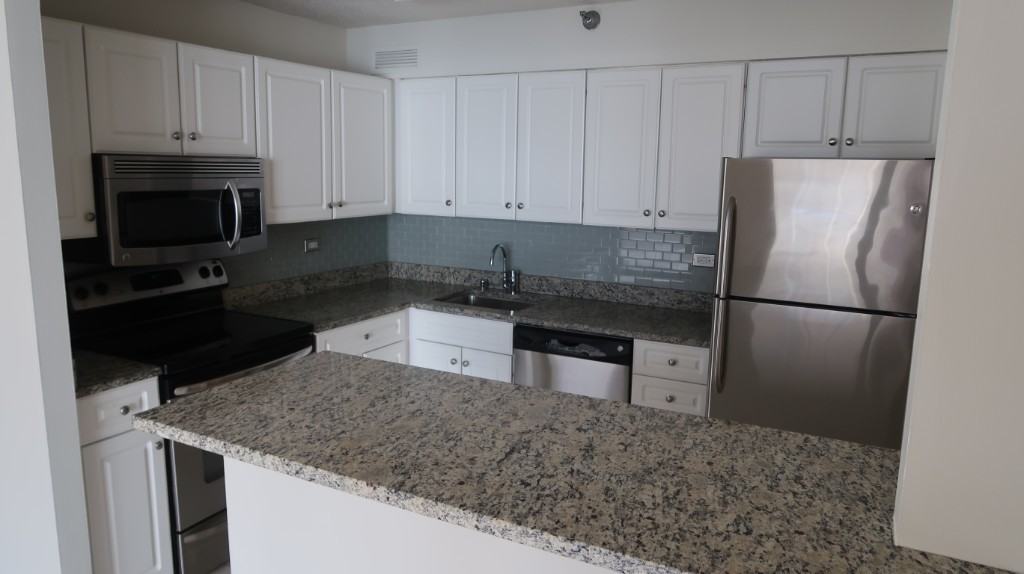 750 North Rush Street #1607 - Photo 3 of 20