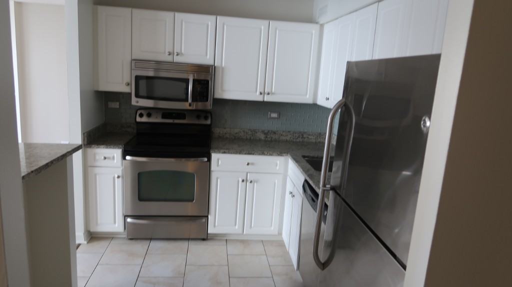 750 North Rush Street #1607 - Photo 4 of 20