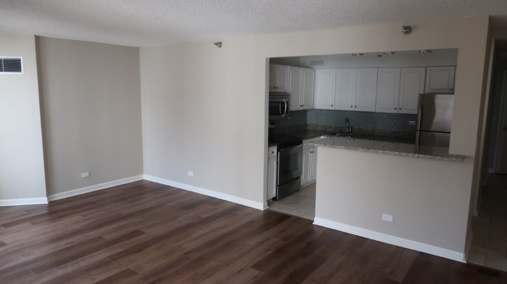 750 North Rush Street #1607 - Photo 5 of 20