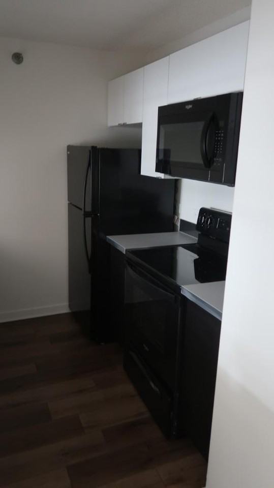 1133 North Dearborn Street #2309 - Photo 2 of 15