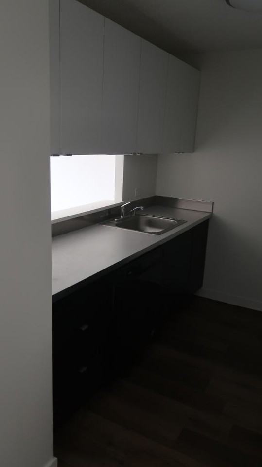 1133 North Dearborn Street #2309 - Photo 3 of 15