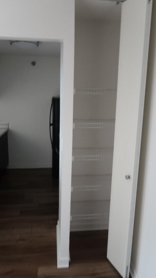 1133 North Dearborn Street #2309 - Photo 4 of 15