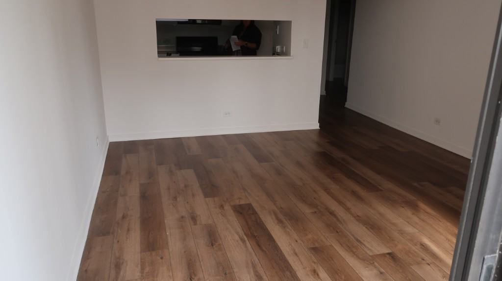 1133 North Dearborn Street #2309 - Photo 6 of 15