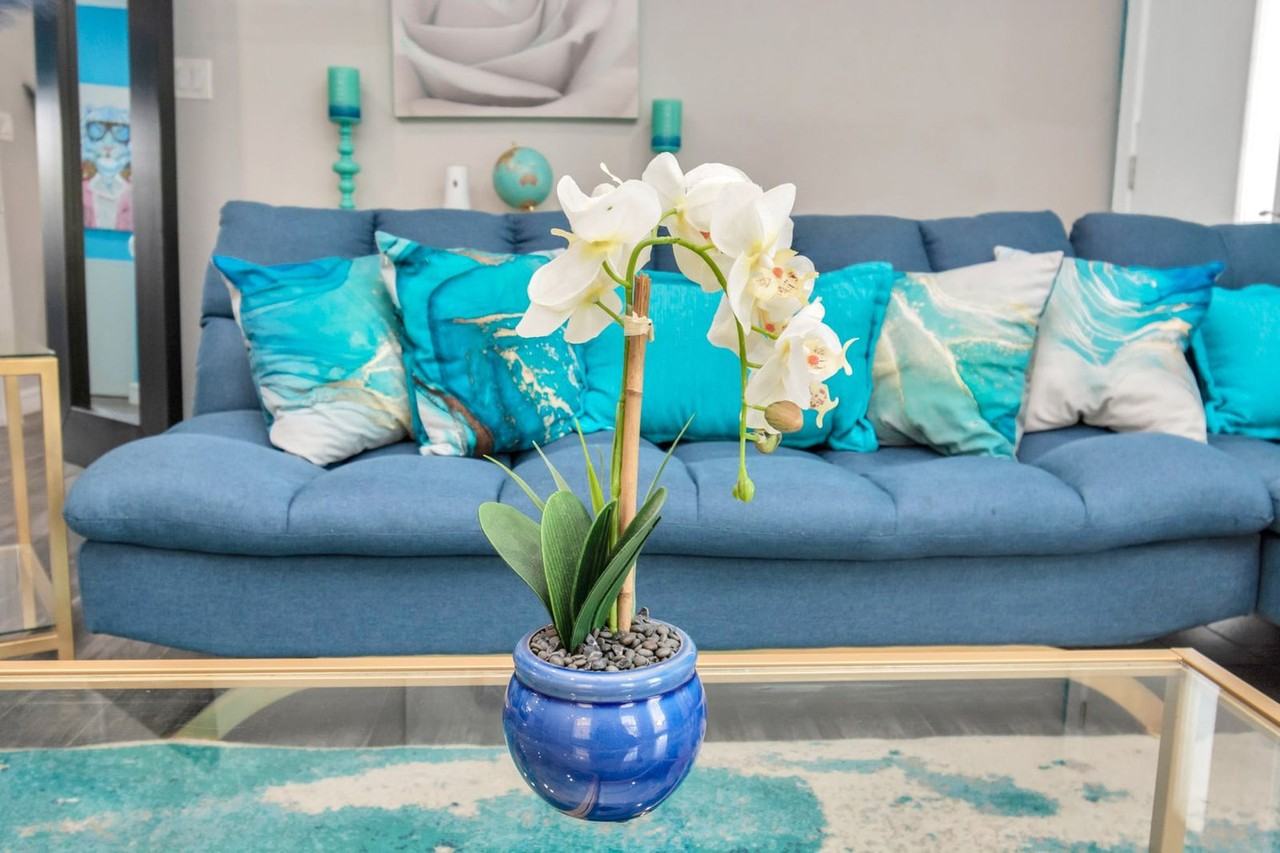 2615 Arbor St #1047947P - Photo 6 of 44