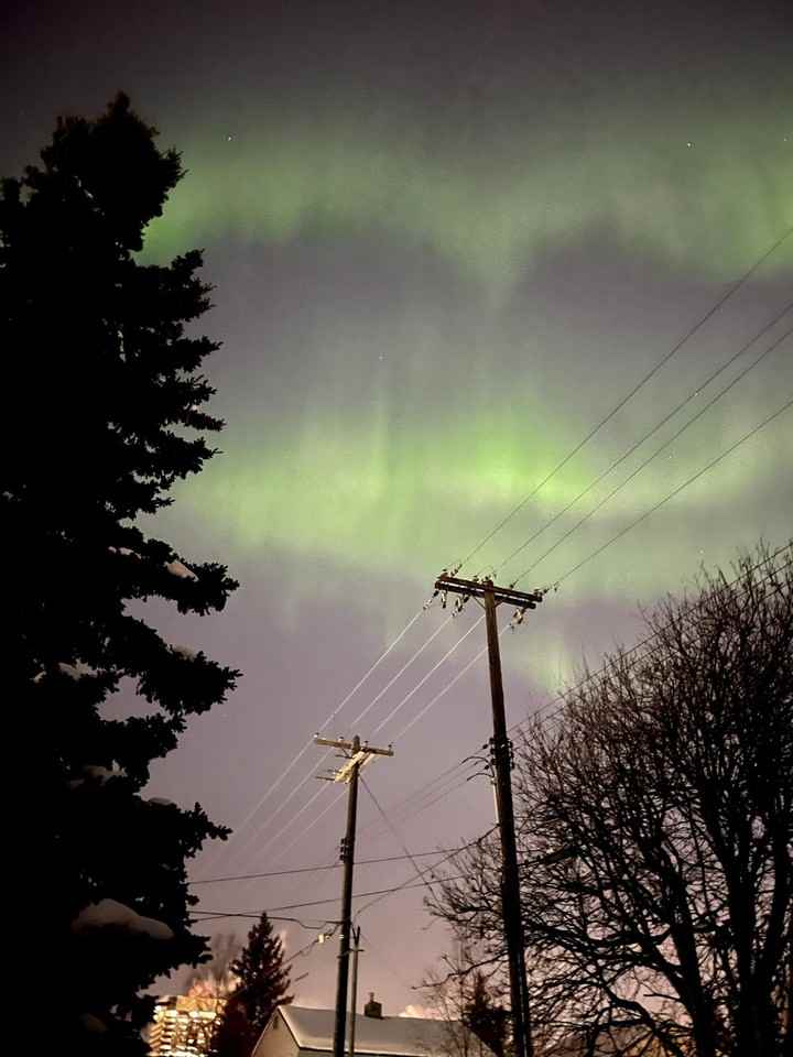 243 W 13th Ave #1284535P - Photo 6 of 6