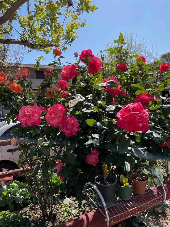 3579 Agate Dr #3579-11 - Photo 6 of 37