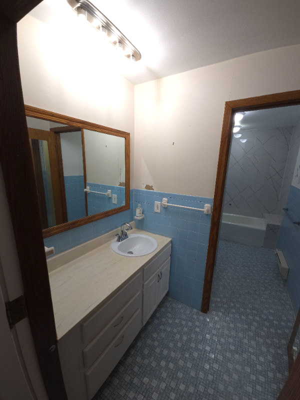 3603 Waukegan Road #B - Photo 4 of 11