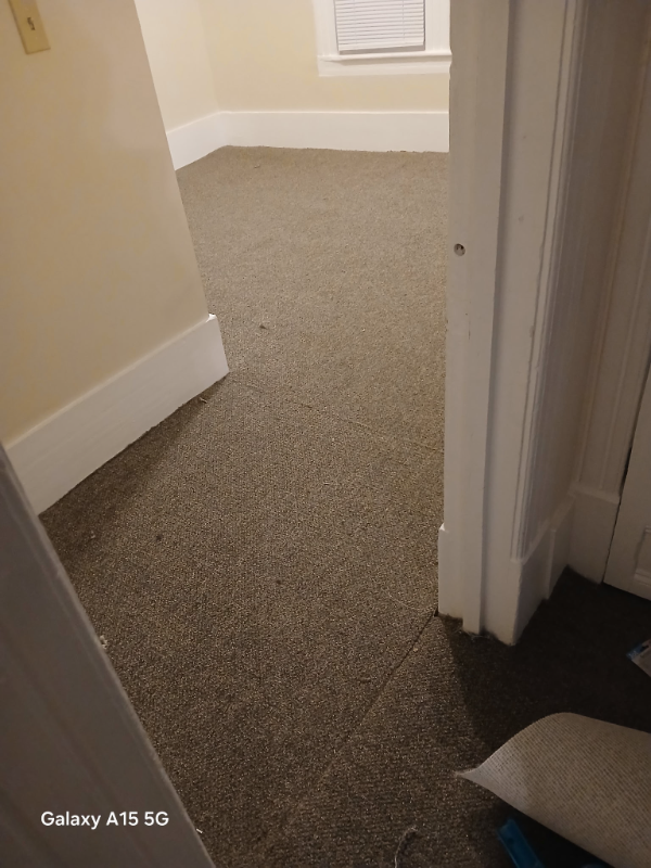 183 Franklin St #183 - Photo 5 of 29