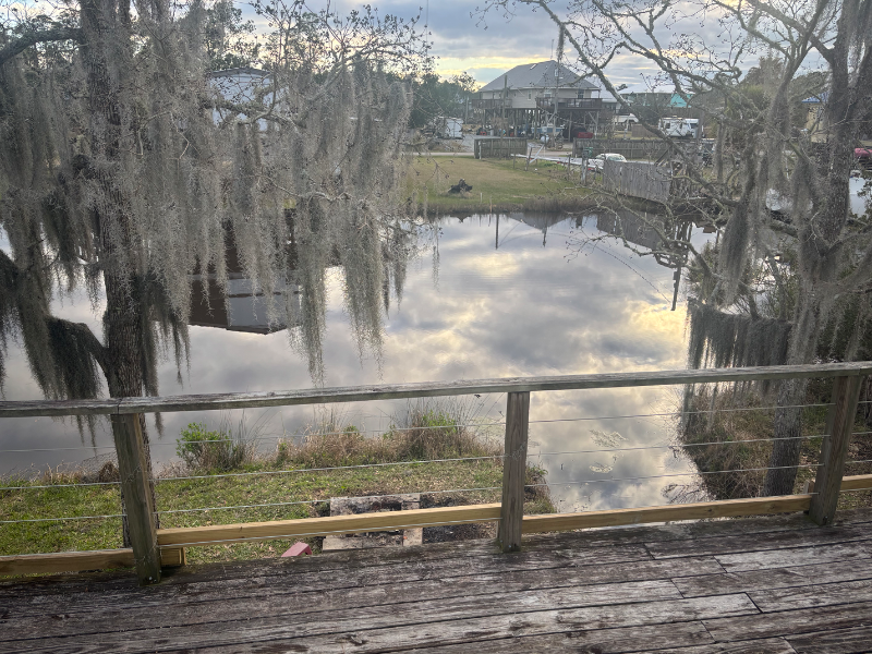 4099 Shark St - Photo 3 of 11